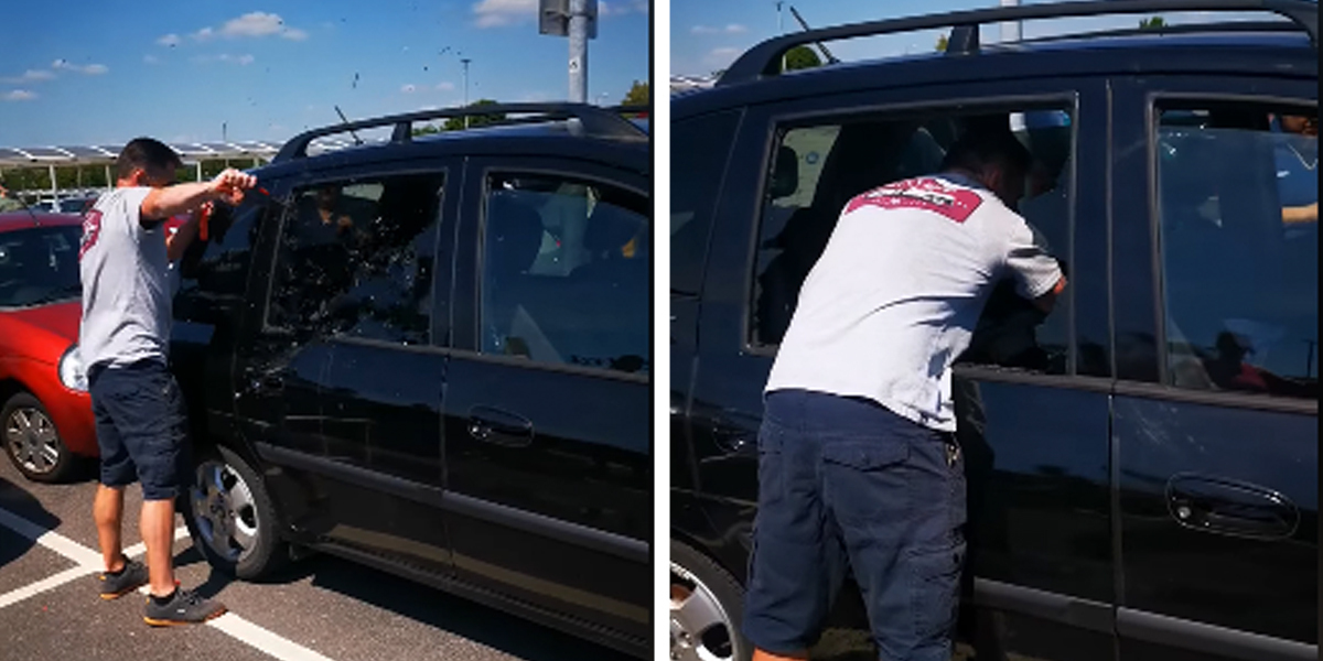 Guy Smashes Window To Save Dog Trapped In Hot Car - The Dodo