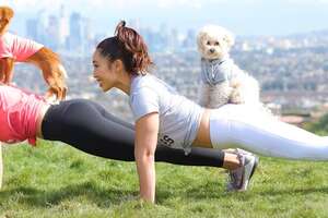 How To Workout With Your Dog