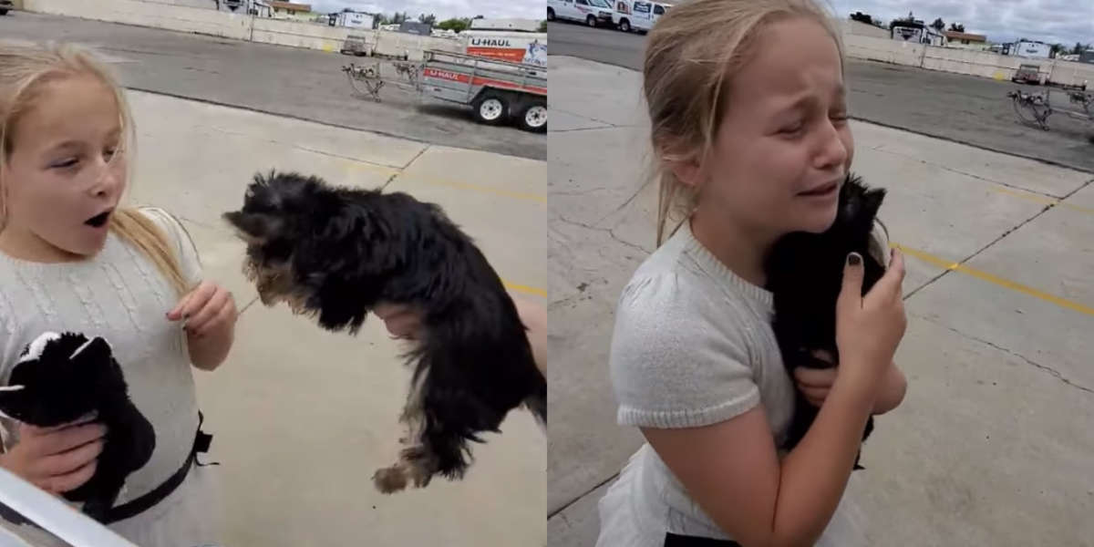 Girl's Parents Surprise Her With A New Puppy - The Dodo