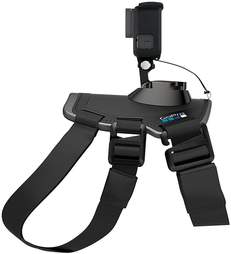 GoPro harness