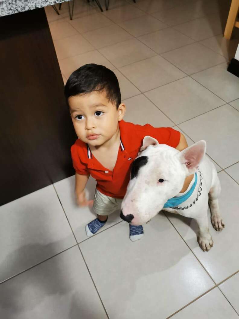 Bruno the dog and his little brother
