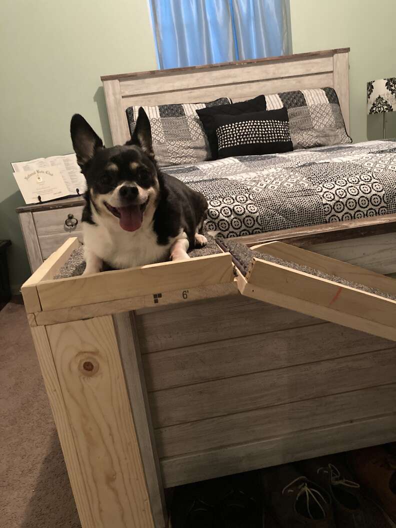 dog ramp