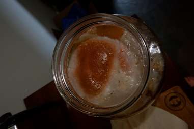 new SCOBY forming for kombucha recipe
