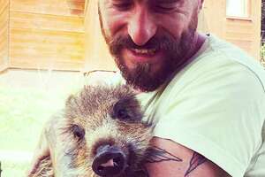 Baby Rescue Boar Completely Transforms When She Meets Her Brother