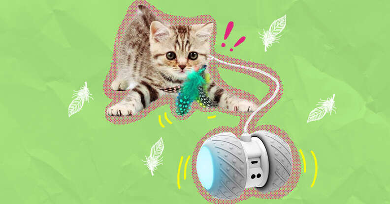  MeoHui Interactive Cat Toys - Retractable Wand Toy