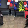 TSA Detection Dog Gets A Huge Surprise Before He Retires