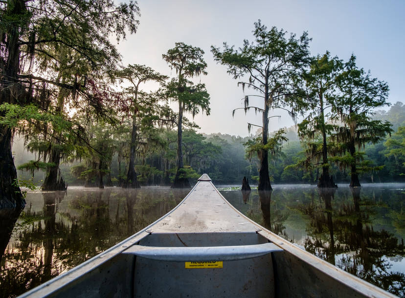 Featured image of post Great Vacation Spots In Texas For Family / Texas is so vast, once vacation won&#039;t fit it all, but these destinations make it worth the trip.