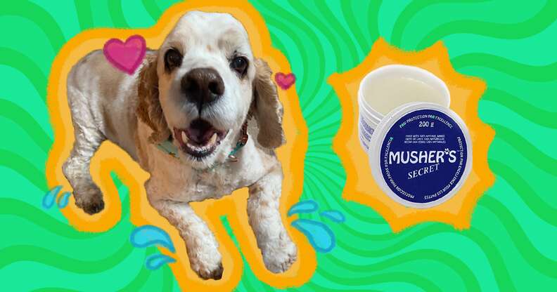 musher's secret paw wax