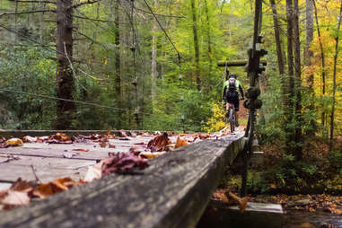 South Mills River Trail in Pisgah National Forest