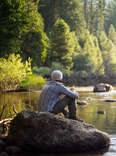 America's Forests Are Underrated and Great for Avoiding Other Humans