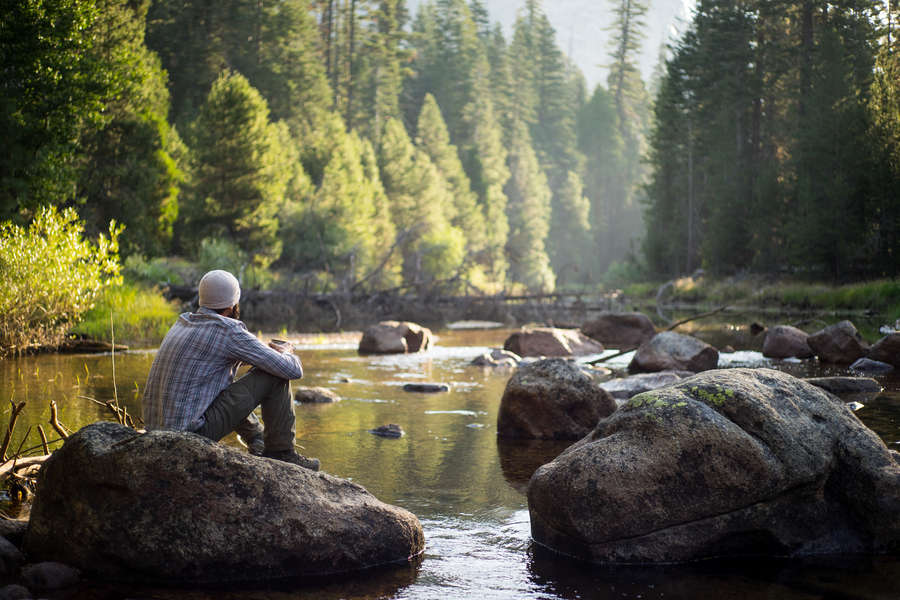 Camping in National Forests: Best Places to Explore Nature Near You ...