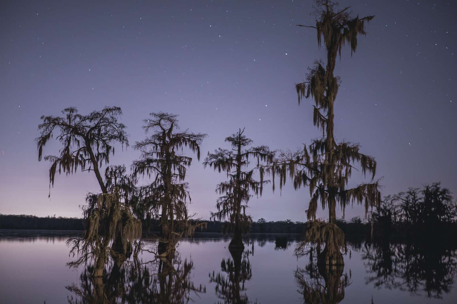 Tyler Domingue / Unsplash 