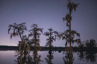 Lake Martin 