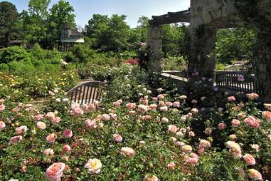 American Rose Center