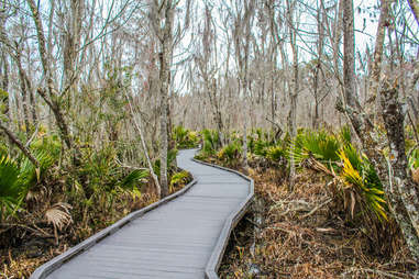 Jean Lafitte National Historical Park