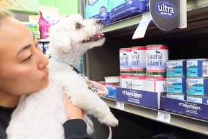 Girl Buys Everything In Pet Store Her Dog Touches