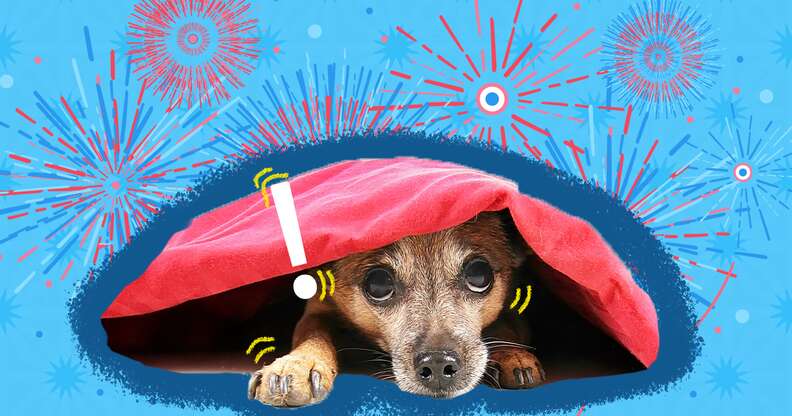 7 Tips for Keeping Dogs Safe During Fireworks