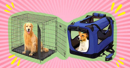 Amazon dog crates