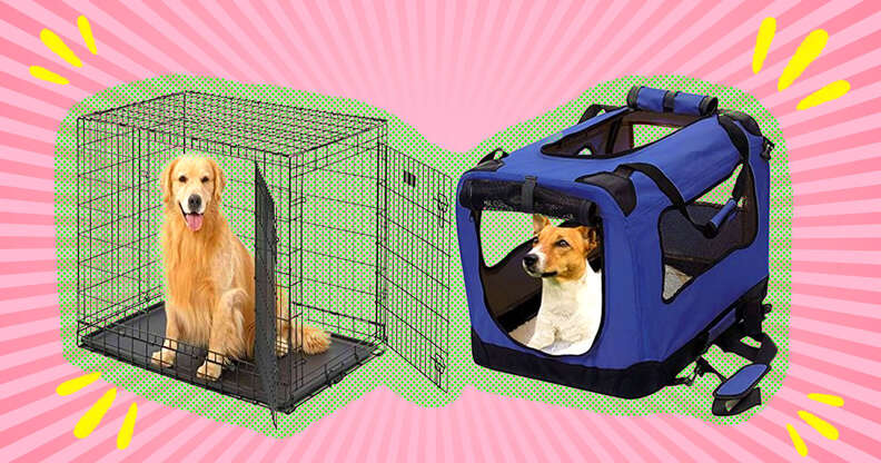 Amazon dog crates