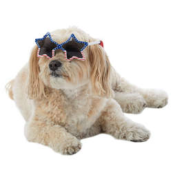 4th of july pet sunglasses