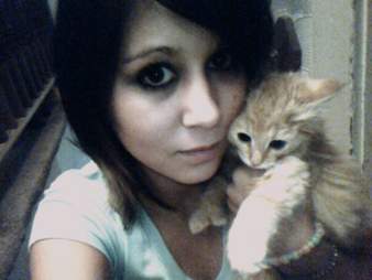 cat sweet 16