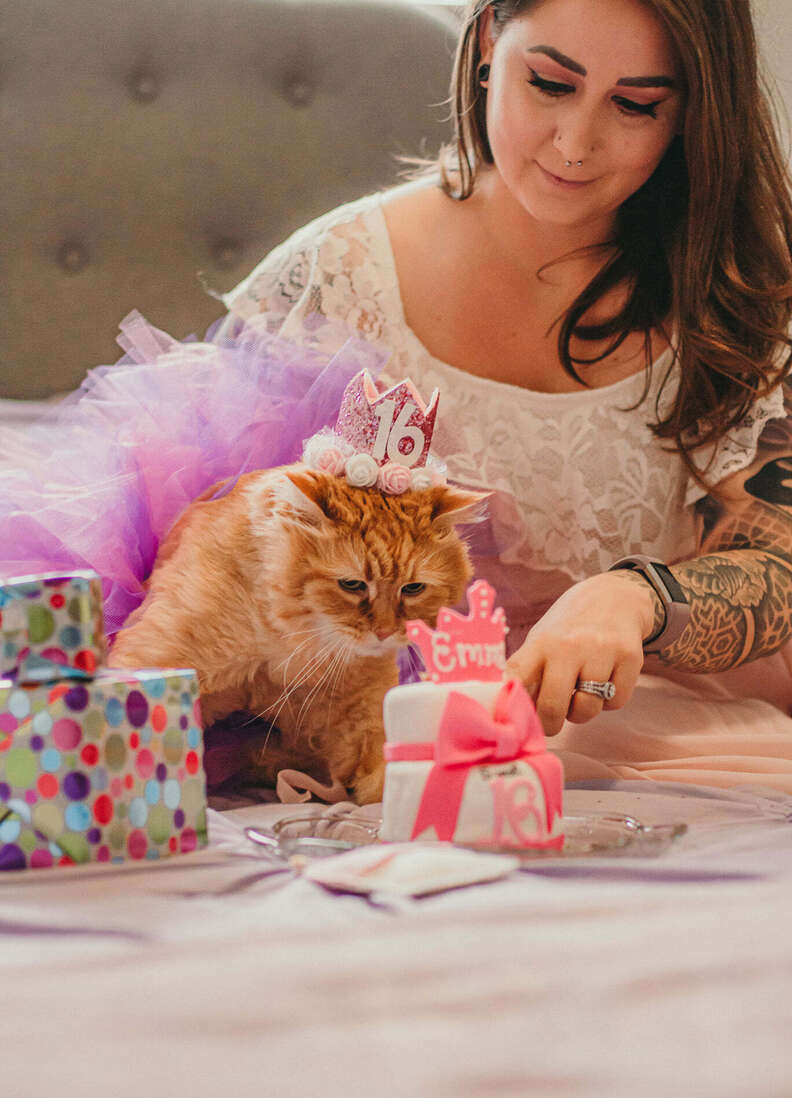 cat sweet 16