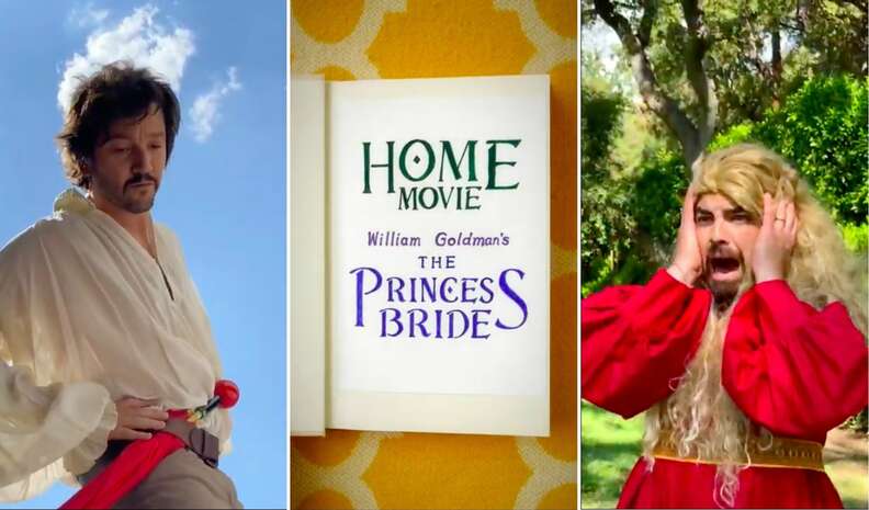 Watch the Celebrity-Filled Fan-Film Version of The Princess Bride