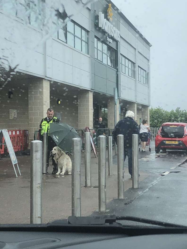 Security guard holds umbrella over dog