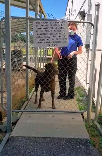 Woman reunites with dog after 2 years