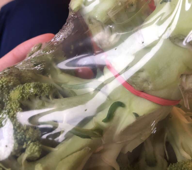 Broccoli with caterpillar on it