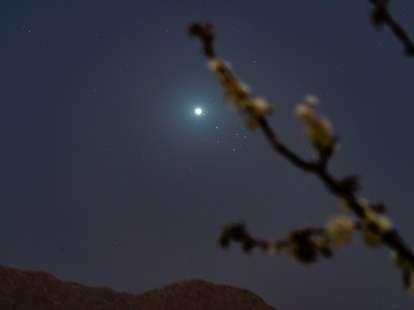 venus in the night sky