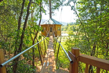 Out ‘n’ About Treehouses