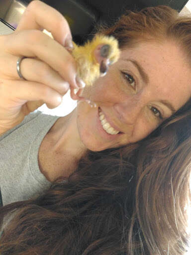woman rescues pigeon