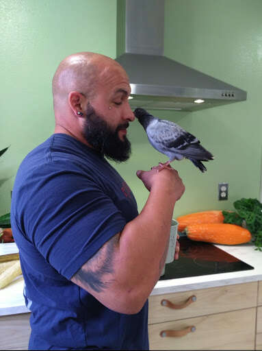 woman rescues pigeon