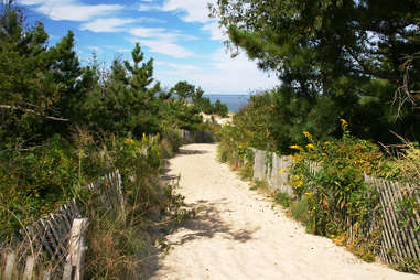 Cape Henlopen State Park