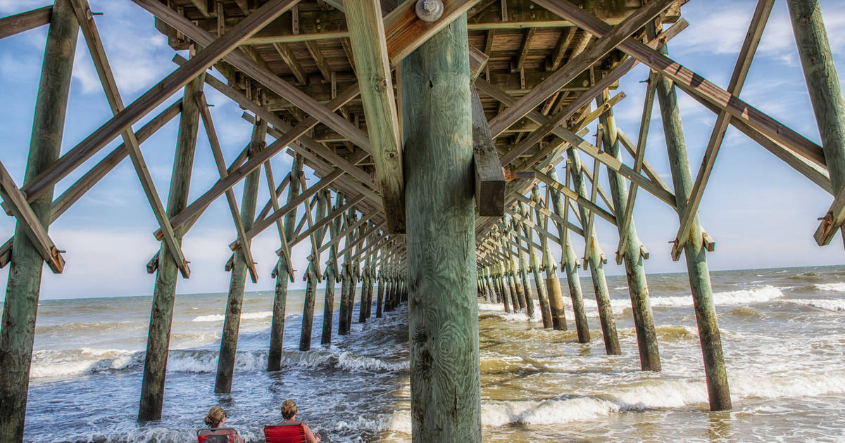 are dogs allowed at folly beach