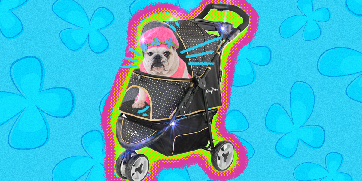 can i take my dog to the mall in a stroller