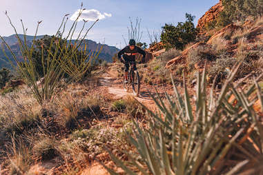 Mescal Mountain Trail