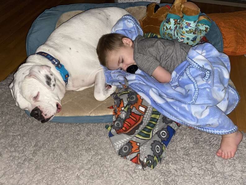 little boys sleeping together