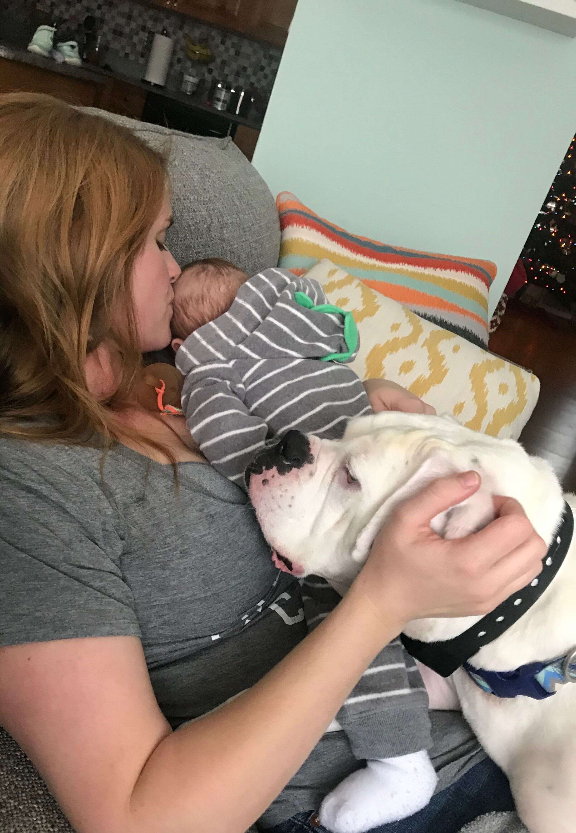 Brutus the boxer cuddles with his little brother