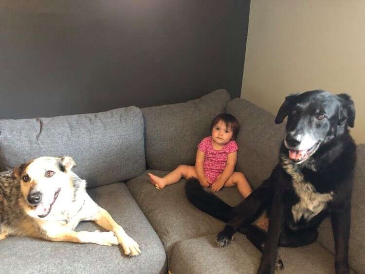 Ramona sits on the couch with her two dogs
