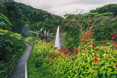 Akaka Falls State Park