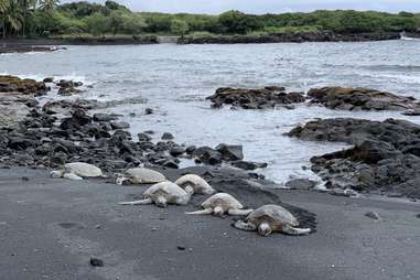 Punalu'u Beach Park