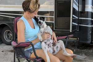 Couple Meets A Beach Dog In Mexico Who Changes Their Life