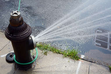 fire hydrant sprinkler