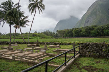 palm trees and mountains surrounding a gravesite on a misty day