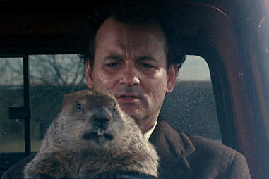 groundhog day