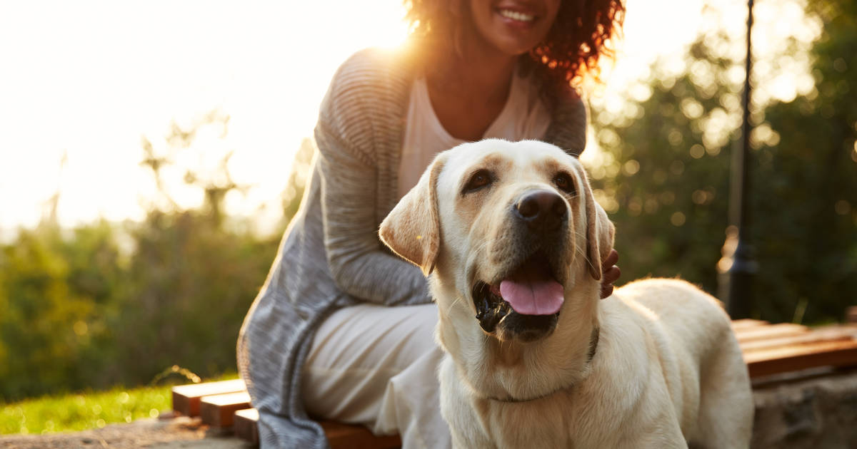 Top 3 Pet-Friendly Cities In California