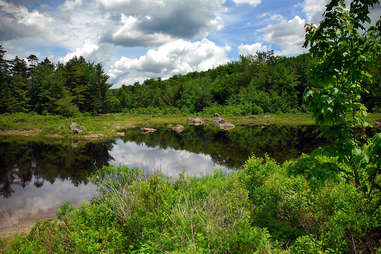 Pillsbury State Park