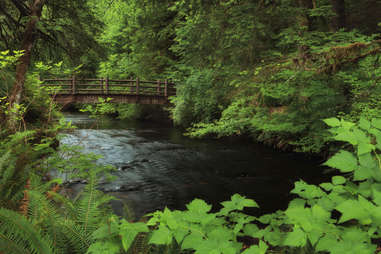 Silver Falls State Park